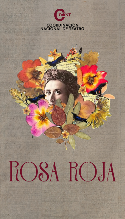 ROSA ROJA