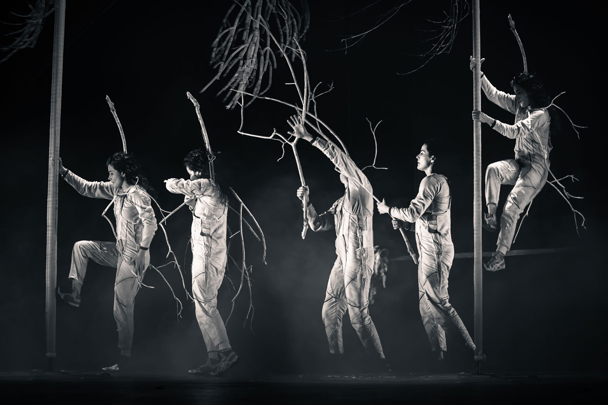 LO QUE CONTIENE EL SILENCIO